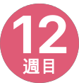 12週間