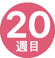 20週間