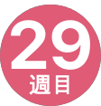 29週間