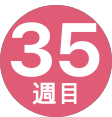 35週間