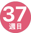 37週間