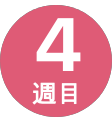 4週間