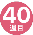 40週間