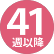 41週間