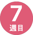 7週間