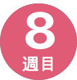 8週間