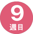 9週間